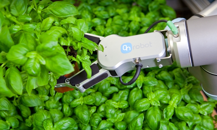 Accelerate your sustainability efforts with robotic automation